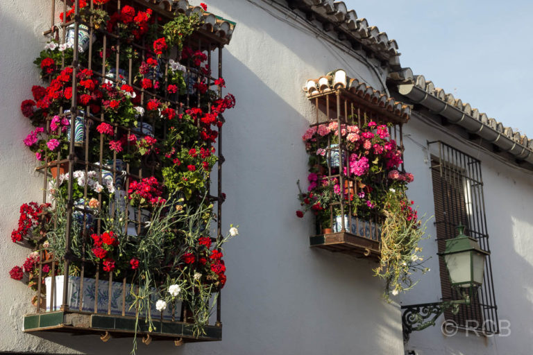Blumenkästen im Viertel Albaicín, Granada