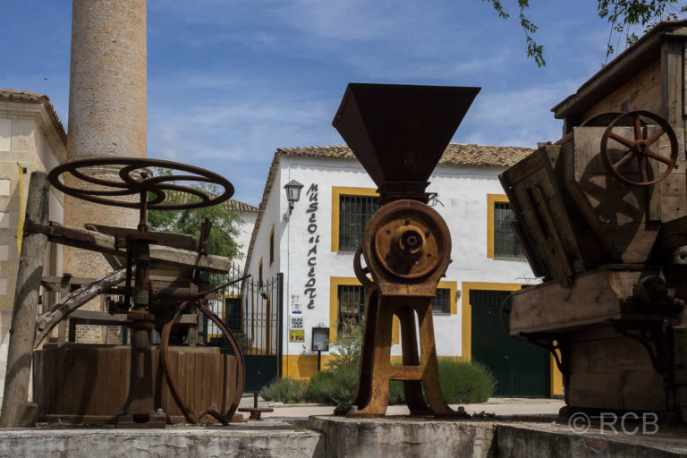 Museum der Olivenkultur auf der Hacienda La Laguna