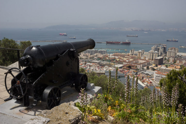 Ausblick vom Felsen von Gibraltar auf die Stadt und die Bucht