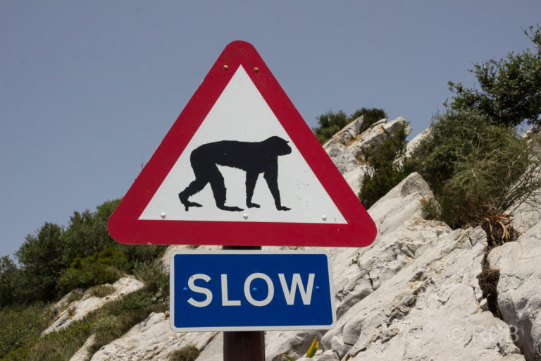 Warnschild mit Affen auf Gibraltar