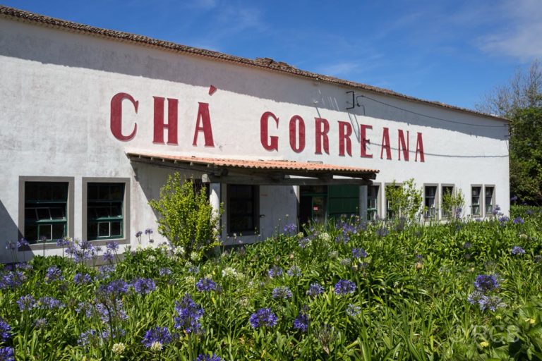 Teefabrik Cha Gorreana