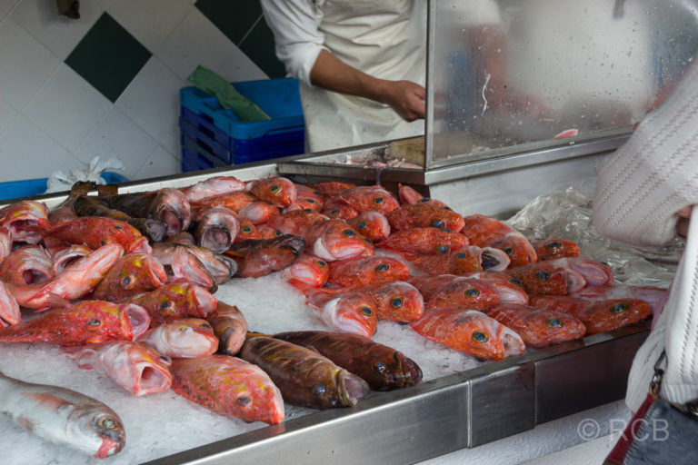 Ponta Delgada, frischer Fisch in der Markthalle
