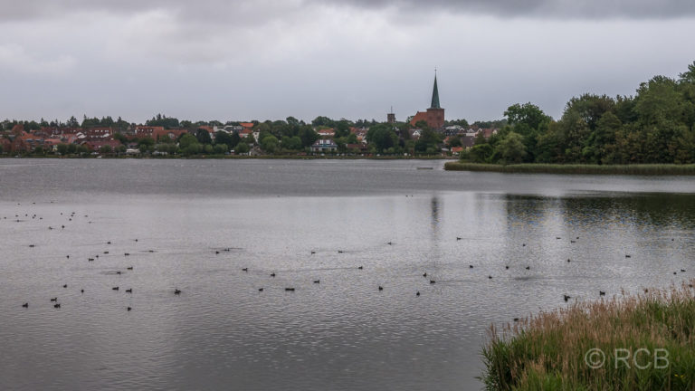 Blick über einen See auf Neustadt in Holstein