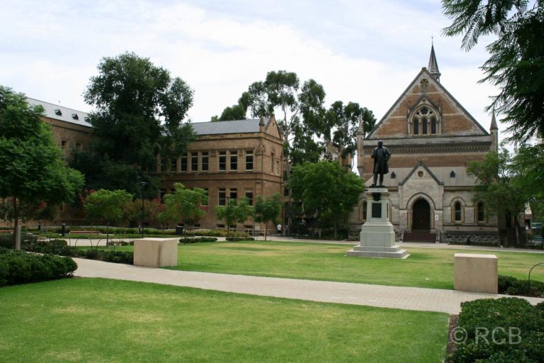Adelaide, Universität