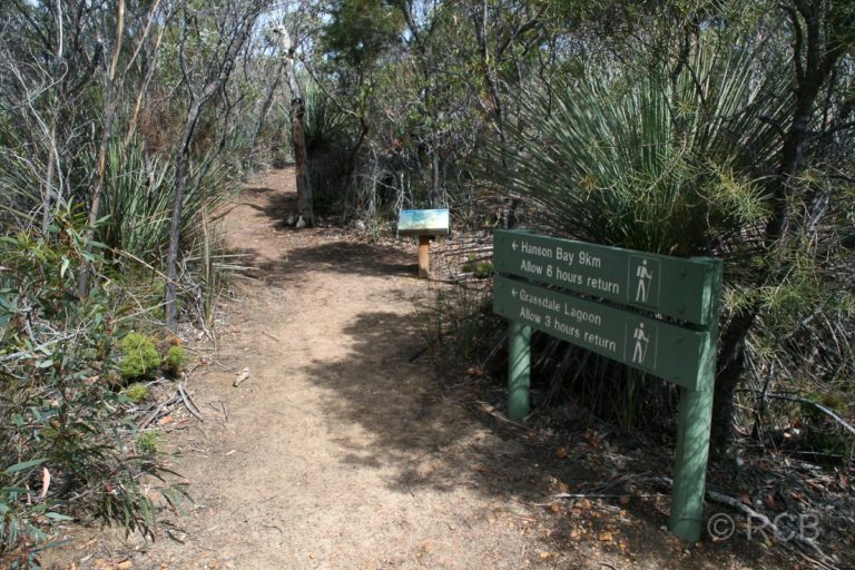 Start des Hanson Bay Trail