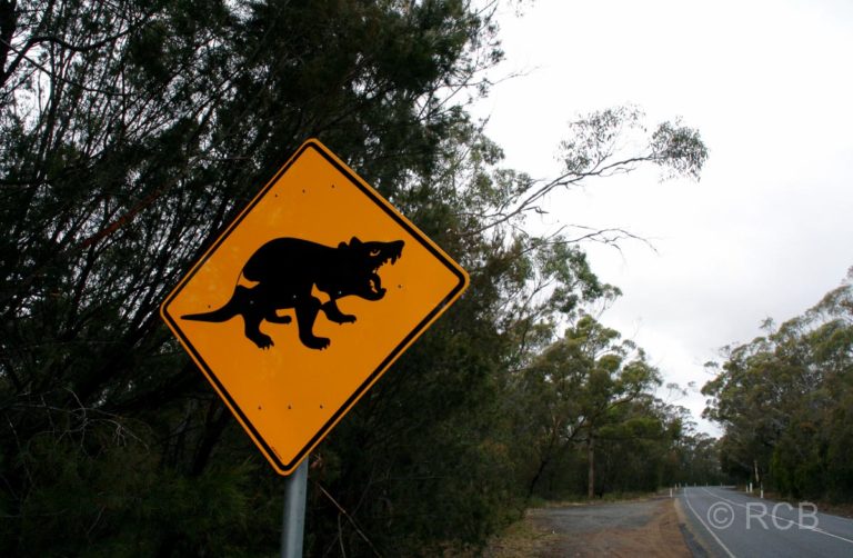 Straßenschild mit Tasmanischem Teufel