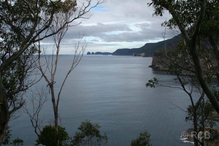 Blick von der Küste beim Tasman Arch zum Cape Hauy