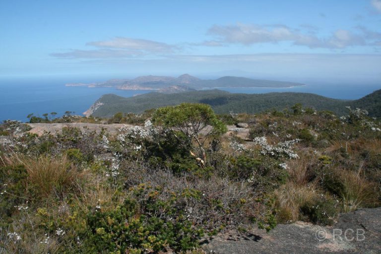 Blick vom Gipfel des Mount Graham Richtung Schouten Island