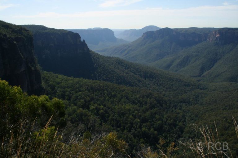 Ausblick von Govetts Leap Lookout ins Grose Valley