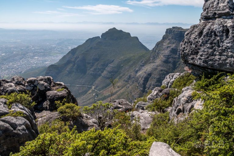 Blick vom Tafelberg zum Devil's Peak