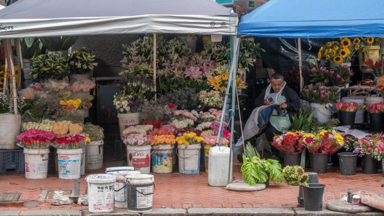 Frau vor ihrem Verkaufsstand auf dem Blumenmarkt