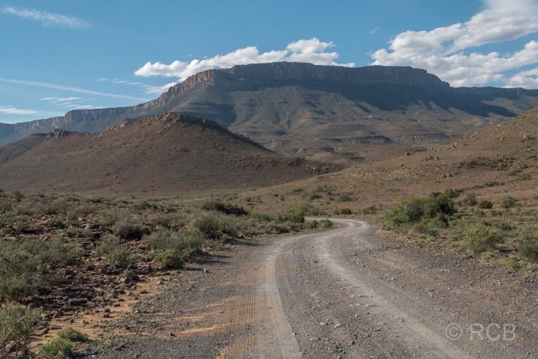 Straße im Karoo National Park
