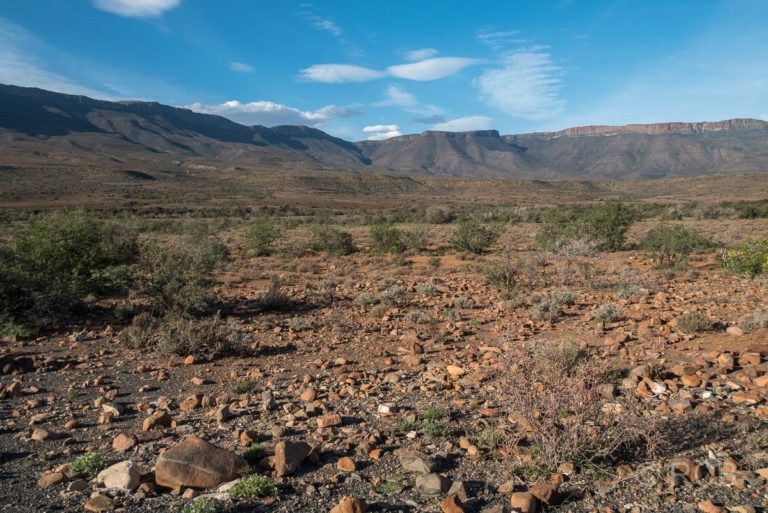 aride Landschaft im Karoo National Park