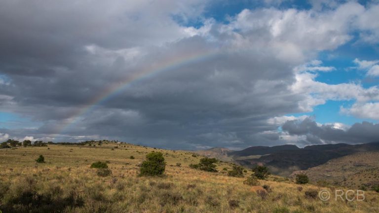 Regenbogen über dem Rooiplaat Loop, Mountain Zebra National Park