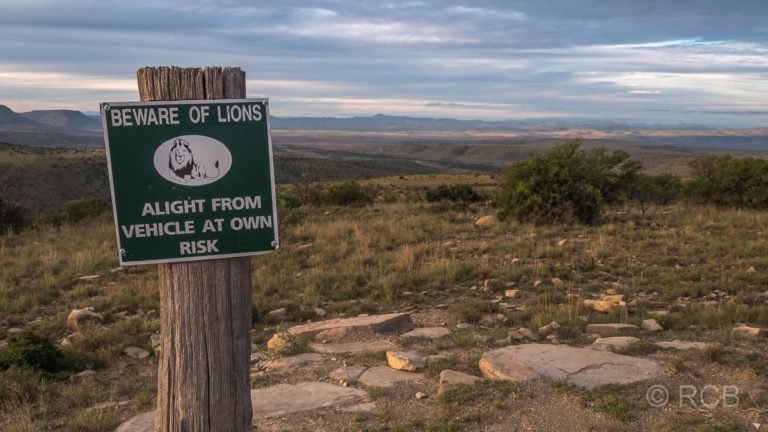 Warnschild vor Löwen im Mountain Zebra National Park