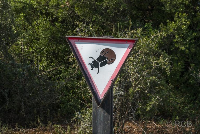 Schild, das vor Mistkäfern auf dem Weg warnt, Addo Elephant National Park