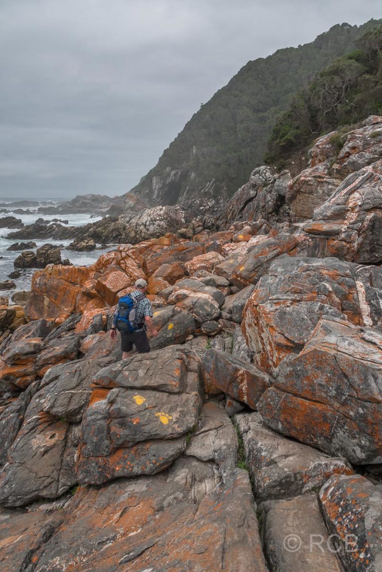 Waterfall Trail, Tsitsikamma Section des Garden Route National Park
