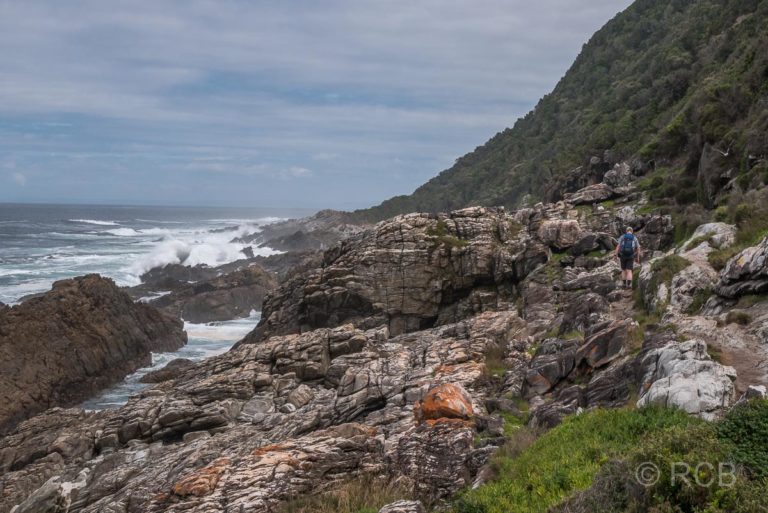 Waterfall Trail, Tsitsikamma Section des Garden Route National Park