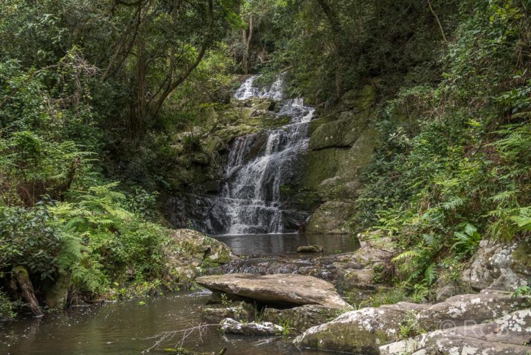 Wasserfall am Blue Duiker Trail, Tsitsikamma Section des Garden Route National Park