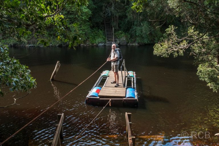 Mann zieht sich mit einer Fußgänger-Pontonfähre über den Touws River bei Wilderness