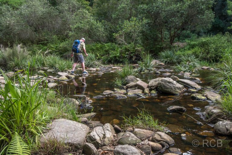 Mann furtet den Touws River auf Steinen auf dem Half Collared King Fisher Trail bei Wilderness