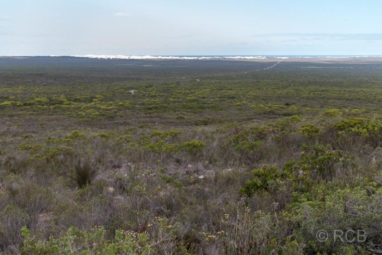 Blick über das De Hoop Nature Reserve, in der Ferne die Dünen