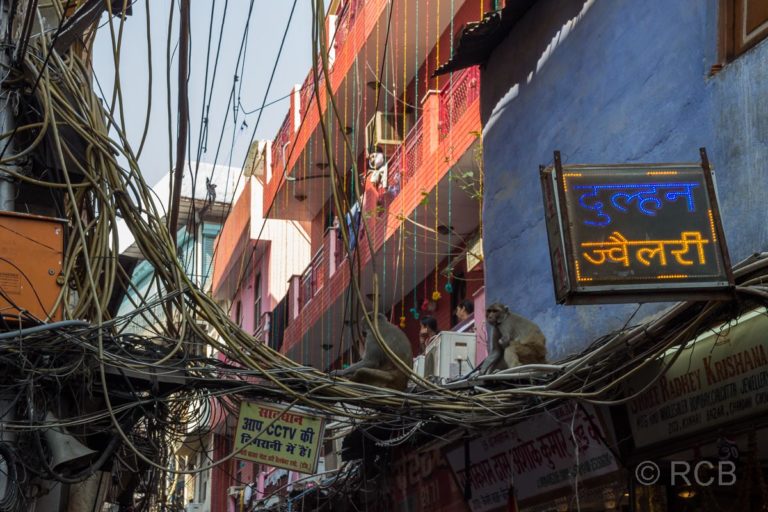 Affen sitzen auf Hunderten Stromkabeln in den Gassen von Old Delhi