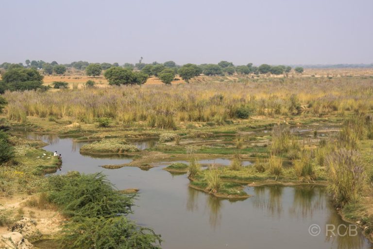 Seen auf der Fahrt durch Rajasthan