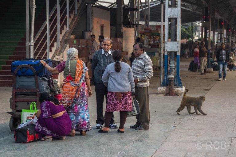 Agra, Menschen und einAffe warten auf dem Bahnsteig im Bahnhof Cantonment