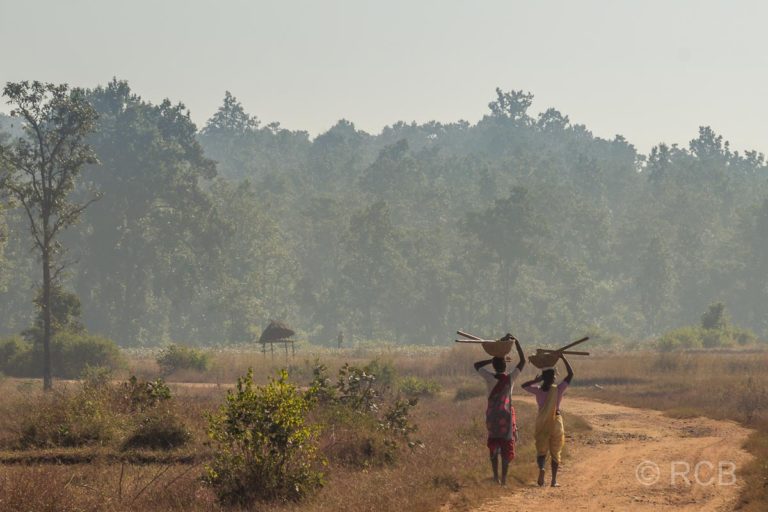 2 Inder tragen Gefäße auf dem Kopf auf einer Landstraße in der Nähe des Kanha National Park