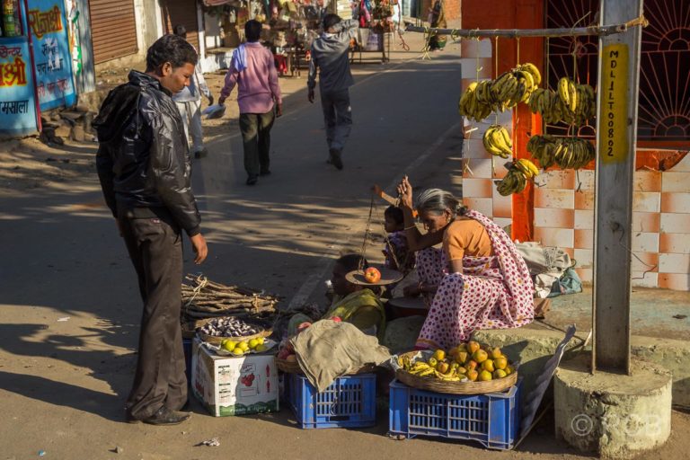 Verkäuferin wiegt Äpfel ab, Fahrt durch Madya Pradesh