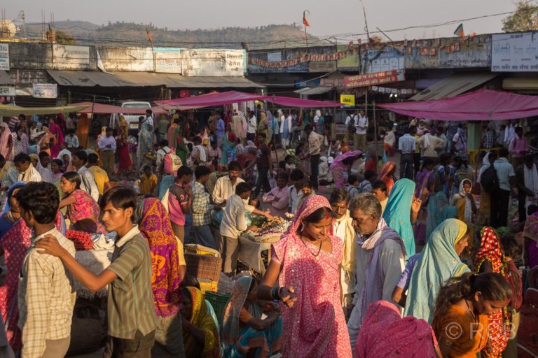 Markt in einem Dorf auf der Fahrt durch Madya Pradesh