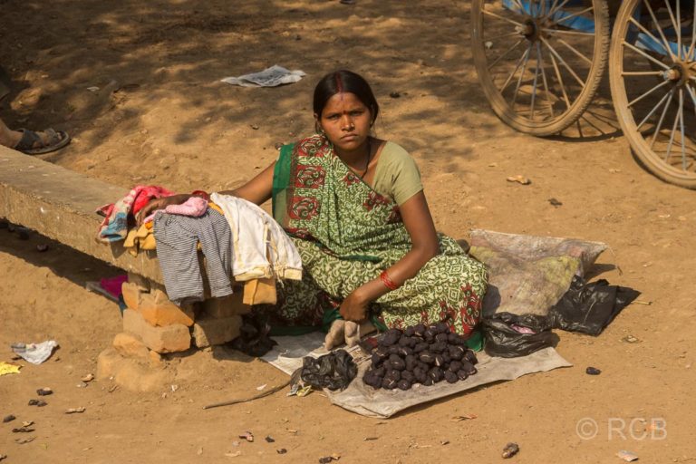 Verkäuferin auf der Fahrt durch Uttar Pradesh