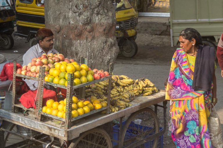 Obstverkäufer auf der Fahrt durch Uttar Pradesh