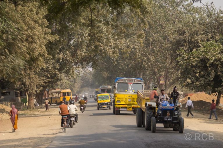 staubige Allee auf der Fahrt durch Uttar Pradesh