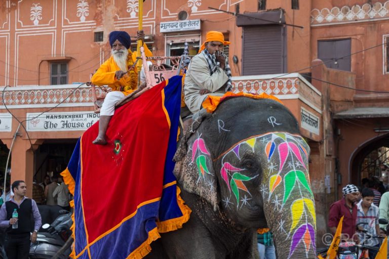 Männer reiten auf einem bunt bemalten Elefanten, Sikh-Umzug, Jaipur, Altstadt
