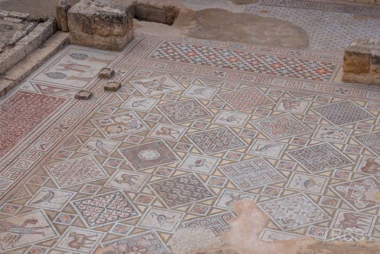 Jerash, Mosaiken in der St. Cosmas-und-Damian-Kirche