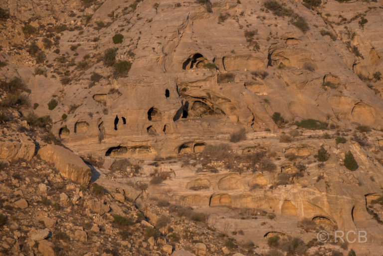 Sandsteinhöhlen im Dana Naturreservat