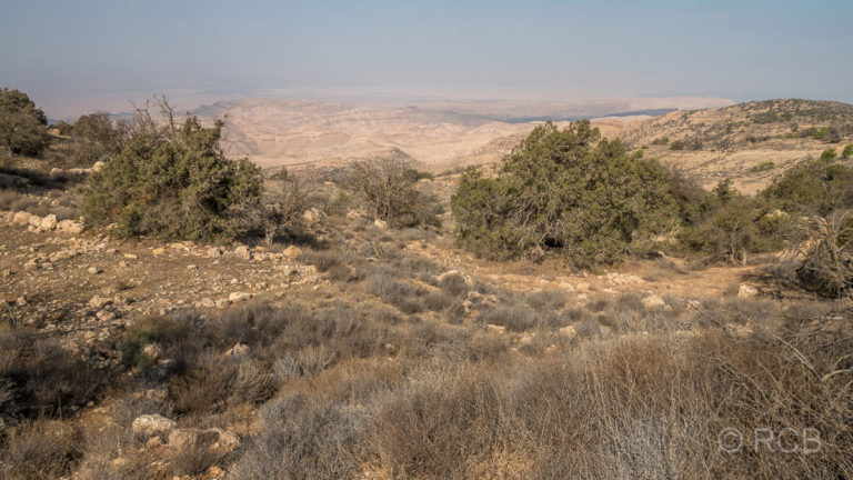Rummana Mountain Trail, Blick ins Wadi Araba, Dana Naturreservat
