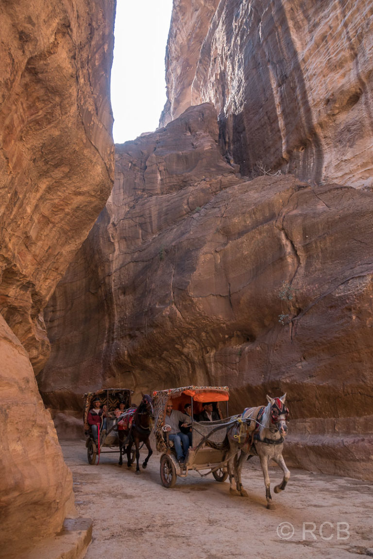 Kutsche fährt durch den Siq, Petra