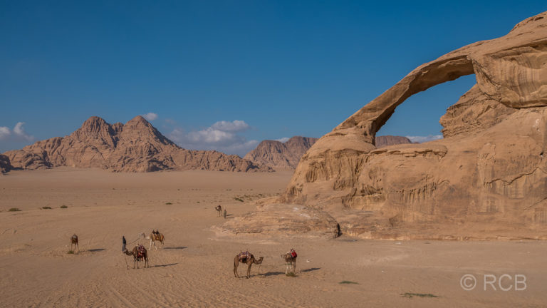 Felsbogen mit Dromedaren davor im Wadi Rum