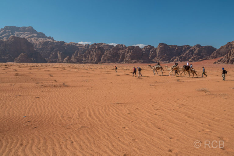 Wandergruppe und 3 Reiter auf Kamelen ziehen durch die Wüste des Wadi Rum