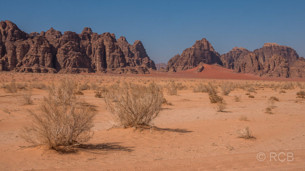 Wüste mit Büschen und Felsen im Wadi Rum