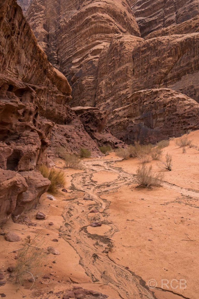 vertrocknetes Rinnsal in einer Schlucht des Wadi Rum