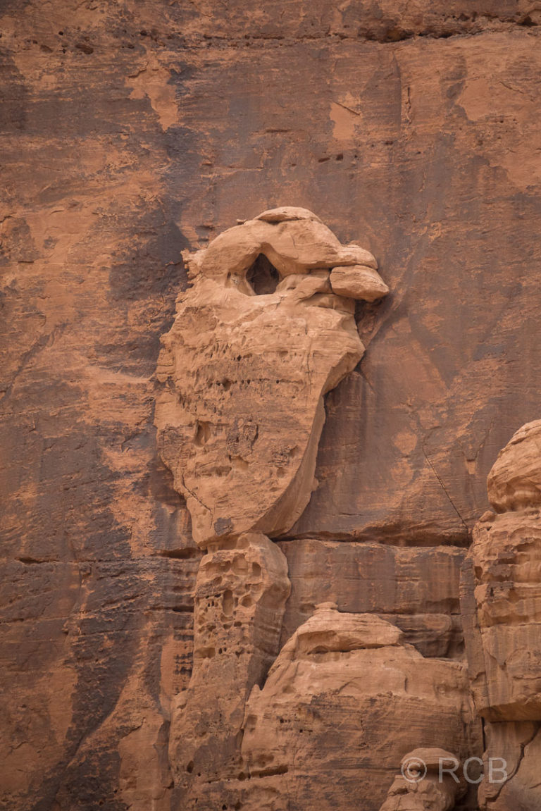 Felsen in Form eines kleinen Vogels im Wadi Rum