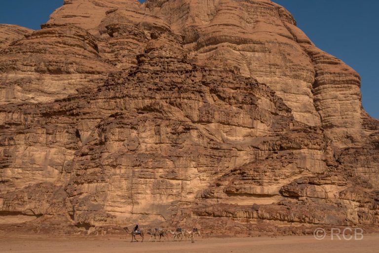 Beduine mit Dromedaren zieht im Wadi Rum an einem Felsklotz vorbei