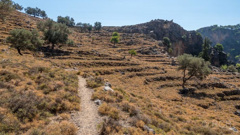 verfallene Oliventerrassen oberhalb der Aradhena-Schlucht