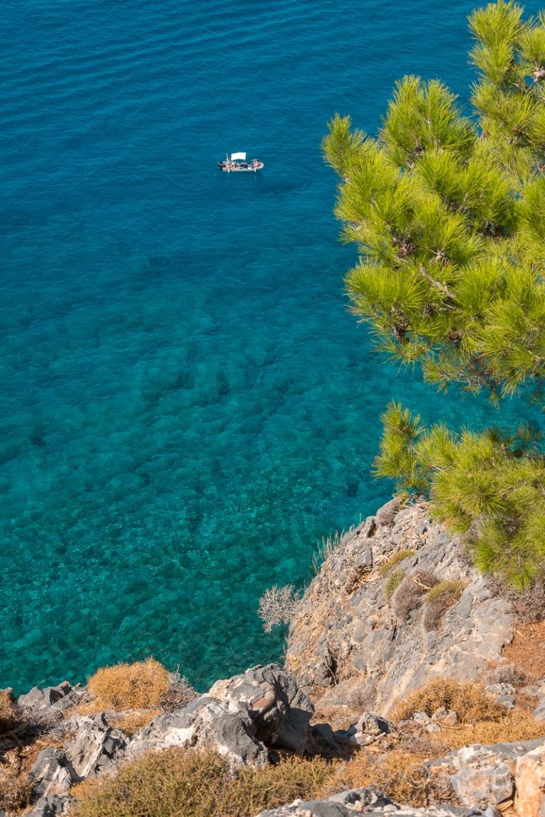 Bucht mit türkisblauem Wasser einer grünen Kiefer und einem kleinen Boot