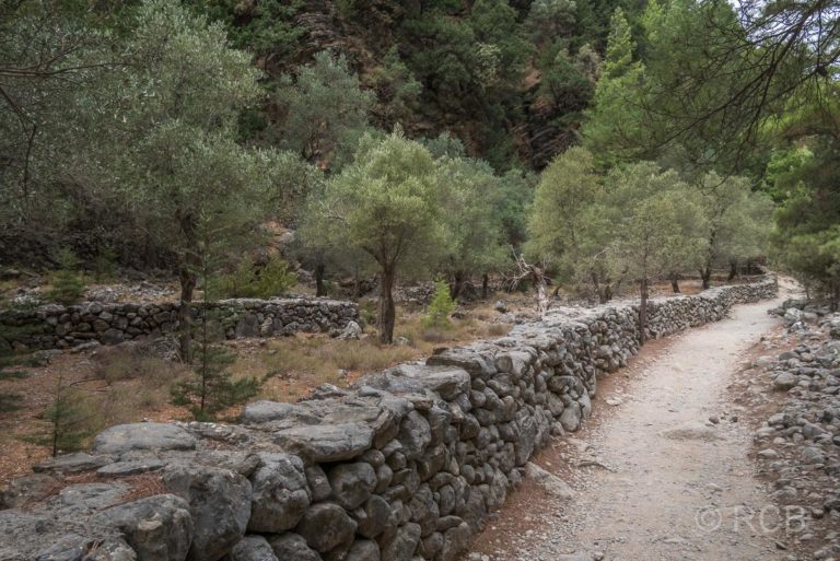 Steinmauern am Wegn als erste Zeichen der Zivilisation kurz vor dem Ort Samaria