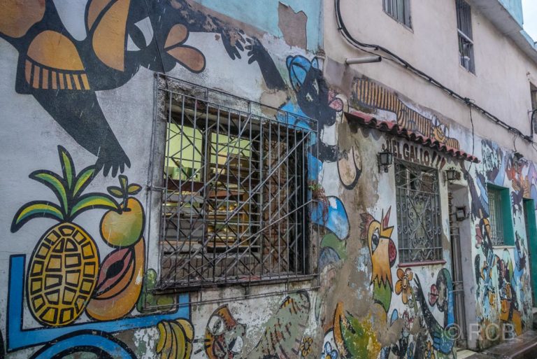 Murales von Ileana Sánchez in den Straßen von Camagüey